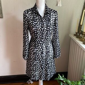 Vintage polka dot sheer dress